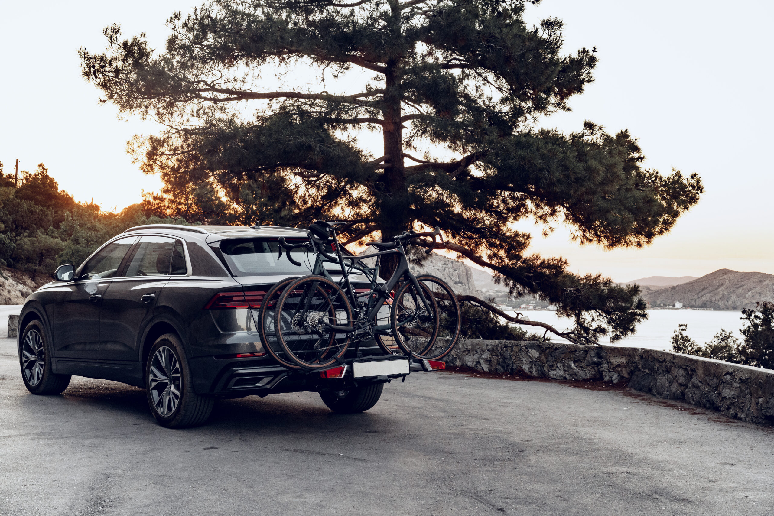 Thule EasyFold XT Fahrradträger für Anhängerkupplung